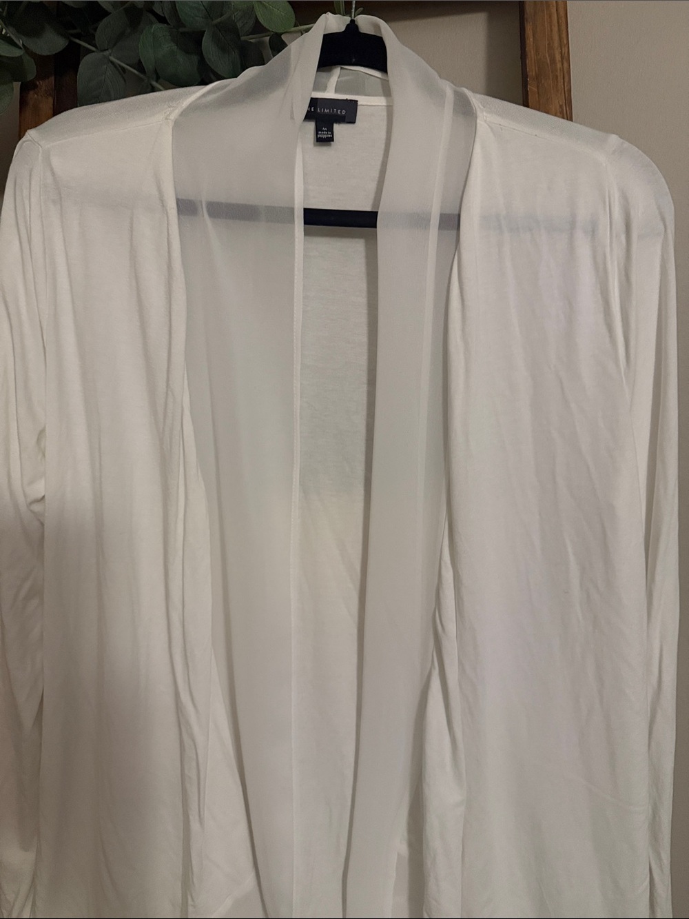 The Limited Sheer Open Front Cardigan in Ivory, very close to white - Picture 2 of 4